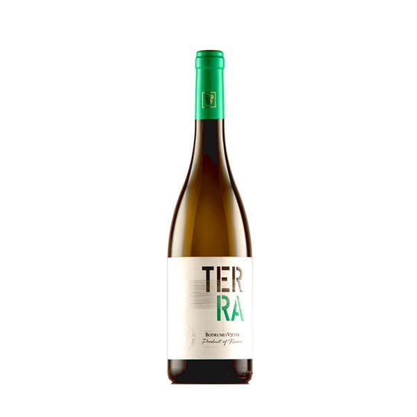 Bodrumi i Vjeter - Terra